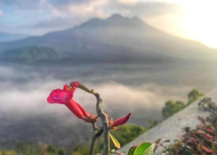 Ayodya Batur